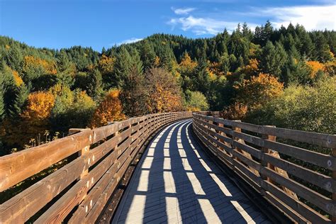 Top trails - Bremerton: With an ascent of 5,688 ft, Davis and Wildcat OHV Trail has the most elevation gain of all of the trails in the area. The next highest ascent trail is Gold Creek Trail, Green Mountain, and Wildcat Trail OHV Trail with 3,198 ft of elevation gain. 